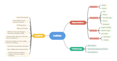 Adidas-Segmentation, Targeting, and Positioning