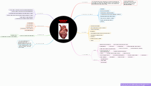 Insuficiência Cardíaca