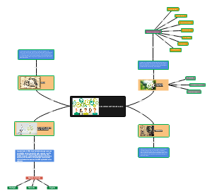 The evolution of corporate social responsibility