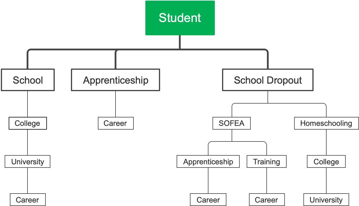 Exploring Educational Pathways: From Traditional School to Apprenticeships and Beyond