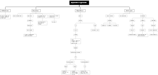 Apparato Digerente: Struttura e Funzioni
