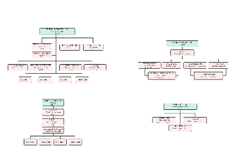 Organizational Structure Sample