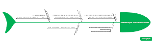 The Fishbone Chart of Conflict Arising from CEO's Succession Decision