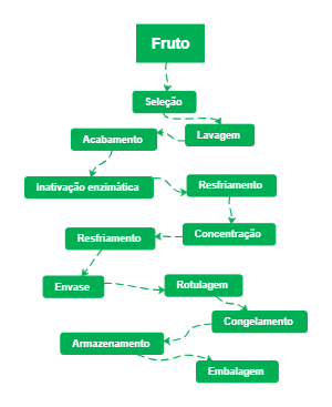 Fruto