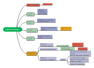 Movement Theory