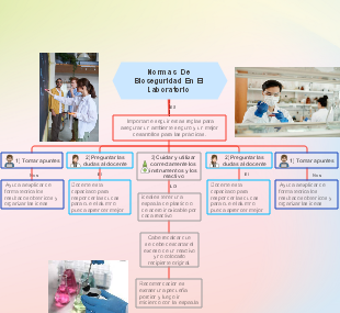 Normas  De Bioseguridad En El Laboratorio