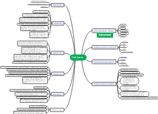 Cell cycle 