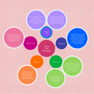 Nitrogen Cycle
