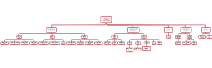 Organizational structure of the company