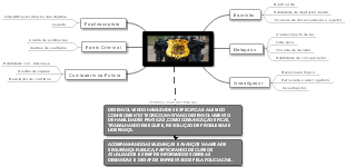 Desenvolvimento profissional