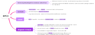 BPCO (Broncopneumopatia Cronica Ostruttiva): Sintomi, Cause, Diagnosi e Terapia
