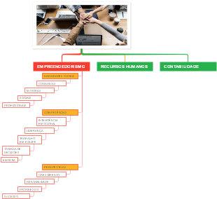 Empreendedorismo: Habilidades, Competências e Perspectivas