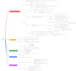 Product Management