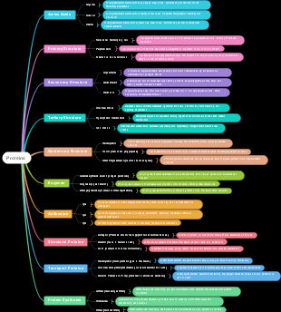 Proteins: A Detailed Guide to Amino Acids, Structures, and Functions