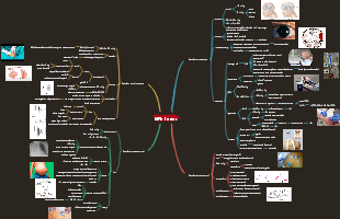 Disturbios eletroliticos