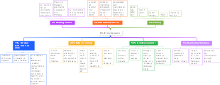 Strategic Networking and Support Plan for Media and Communication Initiatives