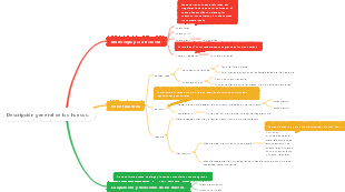 Descripción general de los huesos.