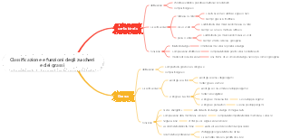Classificazione e funzioni degli zuccheri e dei grassi