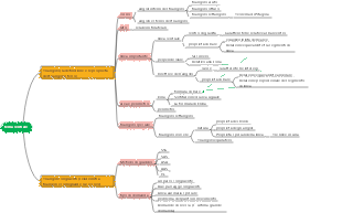Triangolo (punti di conoscenza e tipi di domande)
