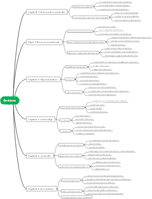 Mappa mentale dei principi di gestione