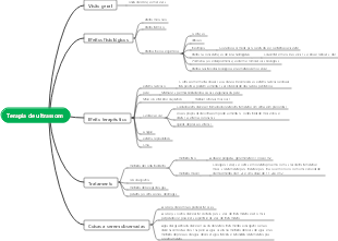 Terapia de ultrassom
