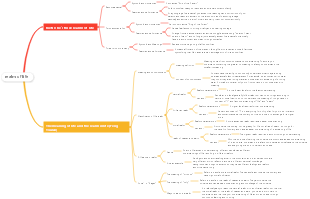 Mind map of life realm