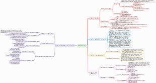 care management plan