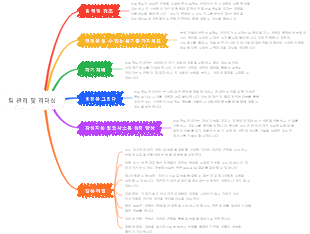 팀 관리 및 리더십