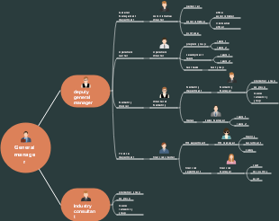 Company structure chart