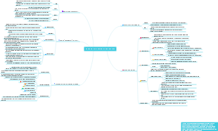 Execution and review of project plan
