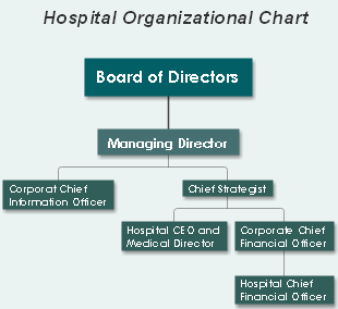 Structure of Hospital Leadership