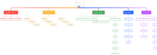 Insights into a CEO-Led Organizational Structure