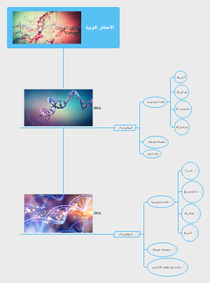 Nucleic Acids in Genetic Information