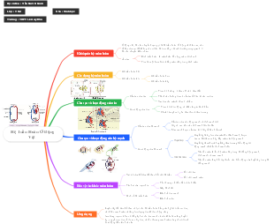 A Comprehensive Guide to the Circulatory System