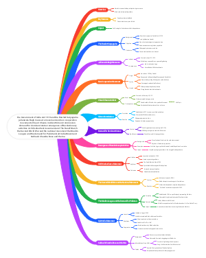 The Government of India Act