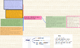 Taxa de Câmbio: Funcionalidade, Tipos e Impactos Econômicos