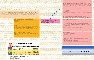 TÍTULOS PÚBLICOS FEDERAIS - (TPF)