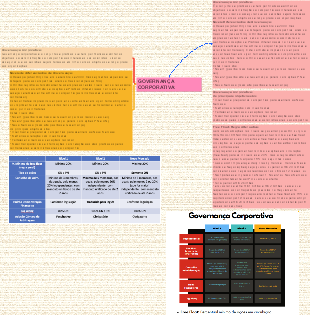 GOVERNANÇA CORPORATIVA