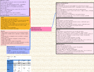 Resumo de Derivativos: Mercado a Termo, SWAP, Opções e Mercado Futuro
