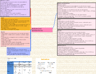RESUMO DE DERIVATIVOS