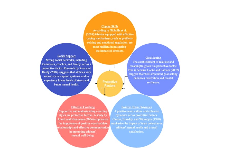 Protective Factors Bubble Diagram