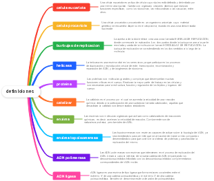 cosas importantes sobre la replicacion del ADN