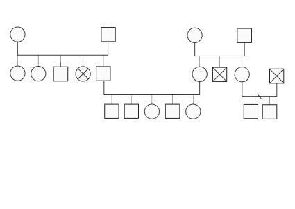 Three-Generation Genogram for Personal Development