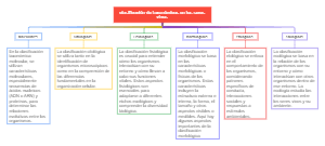 Classification of organisms