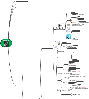 Fetal mind map