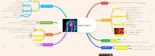 Circulatory System