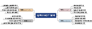 나의 SWOT 분석 마이드 맵