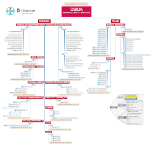 DSIDA: Plano de Atualização em Tempo Real (15/07 a 24/07/2024)