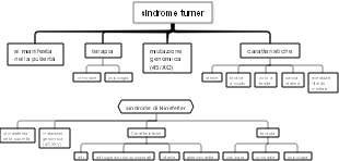 Sindrome di Turner e Sindrome di Klinefelter
