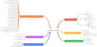 Introdução à Cultura